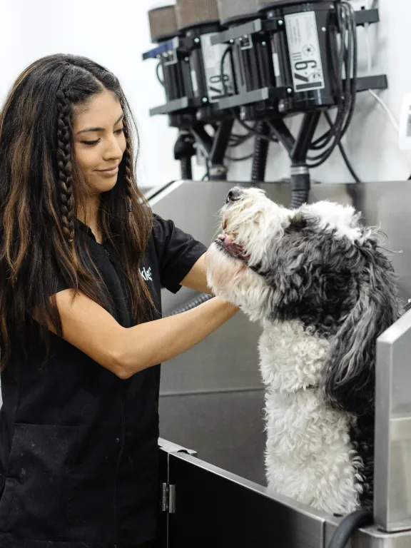 Cottleville Dog Grooming